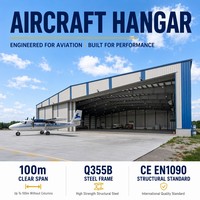 Hangar para Jets Comerciales, Estructura de Acero, Hangar para Aviones Privados, Almacenamiento, Instalación Aeroportuaria, Sin Columnas