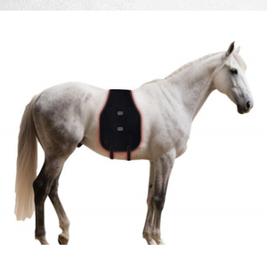 Coussin de luminothérapie équine 320 LED avec batterie intégrée 5000 mAh, 660 nm + 850 nm, pour soulager les douleurs du ventre et du dos des chevaux - Product Image 1