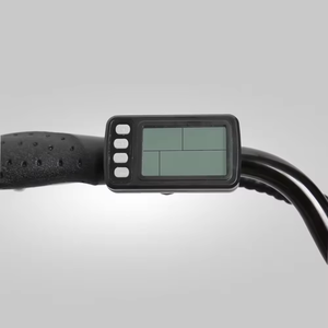 Triciclo de Cuerpo Abierto de 24 Pulgadas para Entrega de Alimentos Familiar con Motor de 250W, Batería de Litio de 36V 13Ah, Neumático Grueso de 20 Pulgadas, Bicicleta Eléctrica en Oferta - Product Image 6