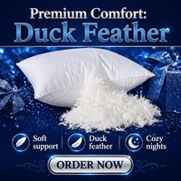 Commande en gros d'inserts de coussin en tissu 100% coton rembourrés de plumes de canard