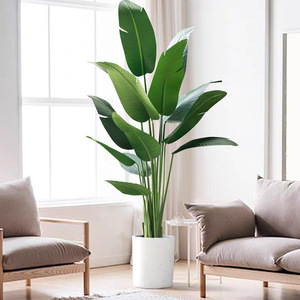 Ornements de salon : oiseau de paradis, bonsaï, plantes vertes, sirènes artificielles - Product Image 1