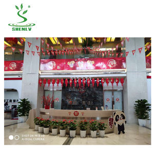 Fabricants grand fabricant de moules pour pots de fleurs à taizhou Moule pour pots de fleurs en plastique - Product Image 6