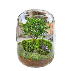 T-439 albero della vita moderna bottiglia ecologica Desktop Micro-paesaggio vaso di vetro trasparente per la coltivazione di <span class=keywords><strong>piante</strong></span> verdi - Product Image 1