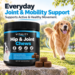 Compléments alimentaires à mâcher pour chiens seniors, pour le soutien des articulations, du cartilage et de la mobilité, avec glucosamine, MSM et curcuma — Service OEM en marque blanche - Product Image 2