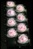 Máquina Comercial de Helados de 8 Cilindros, Máquinas para Hacer Gelato Congelado con Compresor de 8 Marcas para Heladería