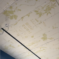 Plaque de plâtre ignifuge et résistante à l'humidité de conception moderne, panneau de plafond polyvalent en papier pour usage hôtelier