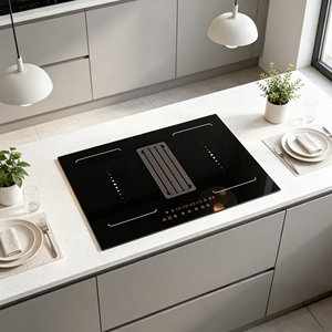 Table de cuisson à <span class=keywords><strong>induction</strong></span> en acier inoxydable avec <span class=keywords><strong>hotte</strong></span> et extracteur intégrés pour usage domestique et hôtelier, <span class=keywords><strong>plaque</strong></span> à <span class=keywords><strong>induction</strong></span> combinée - Product Image 1