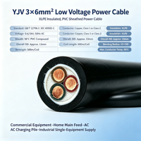 Câble d'alimentation pour chargeur de VE YJV 3 conducteurs 6mm² isolé XLPE gaine PVC cuivre pour recharge AC, usage domestique et équipement commercial