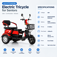 Tricycle Électrique à 3 Roues en Gros, Batterie Plomb-Acide 60V 20Ah, Moteur Moyeu Arrière, 3 Sièges Passagers, Carrosserie Ouverte, Vente Directe Usine