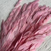 Harga Grosir Bunga Chasmanthium Kering Berkualitas Tinggi 40-50g, Bunga Artifisial Awet 60-70cm untuk Hari Valentine Natal