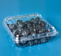Puntera de plástico de alta calidad para fruta, caja de plástico para fruta