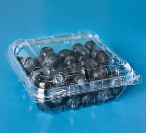 Kotak Buah Plastik Clamshell Blueberry Kualitas Tinggi/Kotak Buah Plastik