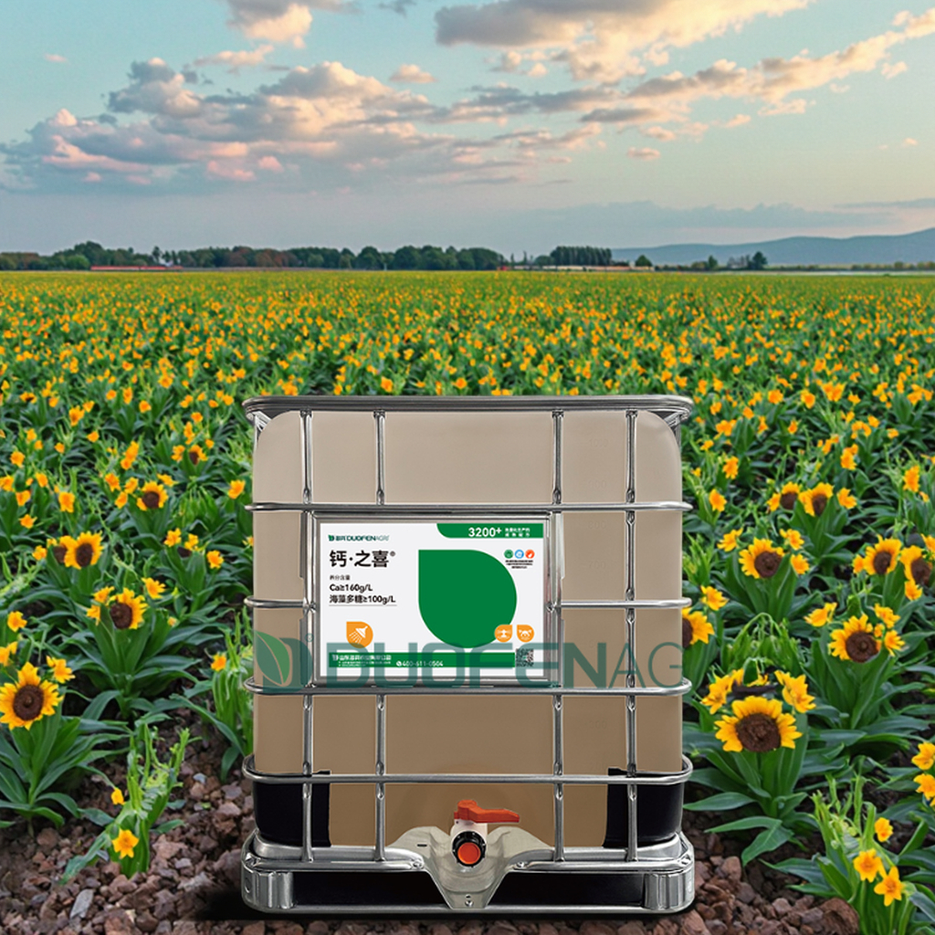 Liquid Chelated Calcium Fertilizer for Strawberry Firmness