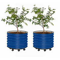 Kit de jardinières ovales surélevées en fer galvanisé pour jardin extérieur, pots pour plantes, jardinières pour fleurs de jardin extérieur