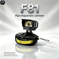 Kamera Inspeksi Pipa LCD FORBEST F81 8-Inci Laris Manis dengan Perekaman DVR Garansi 1 Tahun untuk Perawatan Plumbing