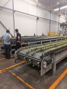Cilindro Hidráulico de Doble Acción para Vehículos Industriales bibo, Cilindro de Inclinación para Montacargas - Product Image 6