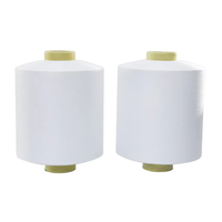 Vente en gros DTY 150D/48F SD SIM NIM 150/36F 150/96F SD SIM NIM WHITE Denier Yarn
