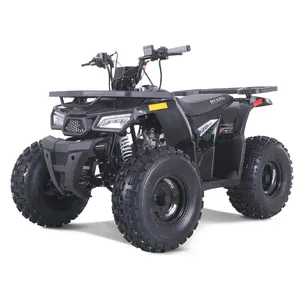 Tao Motor 2024 Nieuwe Goedkope Atv Kids 110cc Automatische Kettingaandrijving Atv