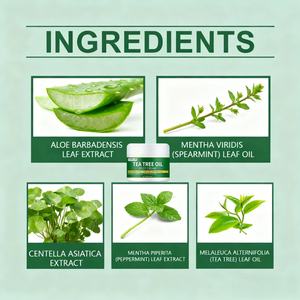 Crème pour les pieds au thé vert en gros, 50 g, réparation des peaux mortes, élimination des peaux mortes, hydratante, <span class=keywords><strong>anti</strong></span>-pelage, hydratante pour les mains et les pieds - Product Image 3