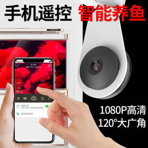 SUNSUN กล้องถ่ายภาพของอัจฉริยะขนาดเล็กปลา<span class=keywords><strong>คา</strong></span><span class=keywords><strong>ร์</strong></span>พ AQ810จอภาพตู้<span class=keywords><strong>ปลา</strong></span>และนาฬิกาปลาที่มีความละเอียดสูง - Product Image 5