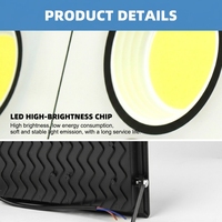 Projecteur LED COB extérieur étanche 50W 100W 200W 300W 500W 800W 1000W, boîtier fin, 220V, IP66, 6000K, lumière du jour, certifié CE