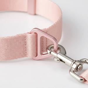 Collare per Animali Domestici Personalizzato, Resistente, Semplice, Imbottito, Regolabile in Poliestere per Cani e Gatti, per Passeggiate Quotidiane e Attività all'Aperto - Product Image 4