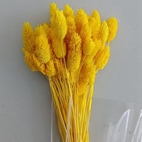 Herbe préservée couronne d'épines Arrangement de fleurs sèches mariage matériel de bricolage Bouquet de plantes séchées naturelles