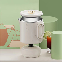Bouilloire électrique portable extérieure de voyage en acier inoxydable tasse d'eau chaude marmite avec contrôle mécanique