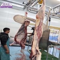 Boîte de rituel hydraulique pour l'abattage halal du bétail vivant, équipement d'abattage pour les rituels religieux musulmans
