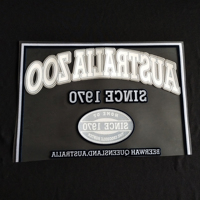 Logo 3D floqué personnalisé pour vêtements, transfert thermique à repasser sur t-shirt et autres vêtements, impression floquée personnalisée, impression par transfert thermique