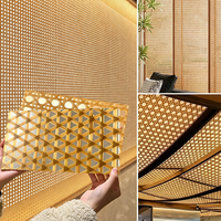 Panneau décoratif en résine PETG avec incrustation de bambou tissé à la main perforé, imperméable, anti-moisissure, pour cloisons d'hôtel, meubles, façades