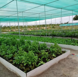 Filets d'ombrage verts en PE pour serres et pépinières avec protection UV à 50 % – Protection solaire extérieure pour jardin - Product Image 5