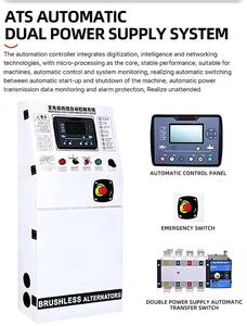 Générateur d'<span class=keywords><strong>électricité</strong></span> monophasé 50/100 kW Cogeneration Chaleur-<span class=keywords><strong>Électricité</strong></span> (CHP) à gaz de biomasse et gaz de bois, 400/230V 50/60Hz, démarrage CC - Product Image 5