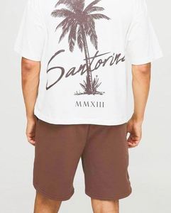Ensemble Athleisure Homme Respirant Grande Taille Décontracté Été Motif Palmiers Chocolat Vente en Gros - Product Image 2