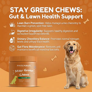 Suplemento Masticable para Perros Stay Green de Marca Privada, Protector de Césped, Suplemento de Apoyo con DL-Metionina, Probióticos, Salud Digestiva, Suplemento al por Mayor - Product Image 1