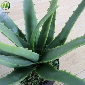 Bonsái de aloe <span class=keywords><strong>vera</strong></span> artificial pequeño, planta verde de plástico, decoración del hogar para festividades navideñas - Product Image 3