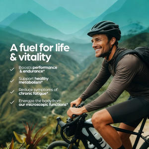 Naturel <span class=keywords><strong>shilajit</strong></span> Resin himalayan shilajeet, salajit <span class=keywords><strong>mumiyo</strong></span>, mumie,myemu, asphaltum ความจุขนาดใหญ่120กรัม <span class=keywords><strong>shilajit</strong></span> เรซิ่น - Product Image 4