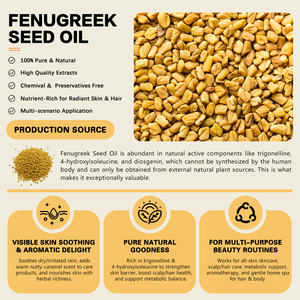 Huile de <span class=keywords><strong>graines</strong></span> de <span class=keywords><strong>fenugrec</strong></span> 100% pure naturelle pressée à froid, huile de support pour la santé des cheveux et de la peau, 1/5/25 kg - Product Image 3