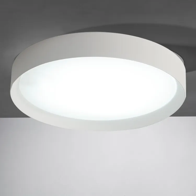 Kitchen Modern Simple Panel Ceiling Mounted Lighting Fixture LED Round Plastic Ceiling Light