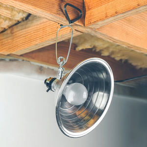 Система освещения Biobase для инкубации яиц с УФ-излучением для выведения цыплят - Product Image 5