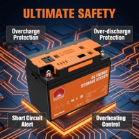 Unidad Inversora UPS AGM de 12V 100Ah CC, Fuente de Alimentación de Respaldo para el Hogar y Exteriores, Modelo Sin Mantenimiento RW-12V100AH-200W