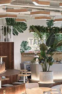 การออกแบบตกแต่งภายในร้านกาแฟและชานมไข่มุกสุดทันสมัย |   เคาน์เตอร์บาร์และเคาน์เตอร์โชว์สินค้าแบบกำหนดเอง |   บริการตกแต่งร้านค้าและโซลูชั่นสำหรับร้านค้าแบบครบวงจร - Product Image 5