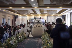 Traje de grasa inflable inspirado en Totoro <span class=keywords><strong>para</strong></span> adultos, disfraz de gato acolchado <span class=keywords><strong>para</strong></span> <span class=keywords><strong>Halloween</strong></span>, mascota de zorro, Cosplay, estilo Anime, Unisex Mardi - Product Image 2