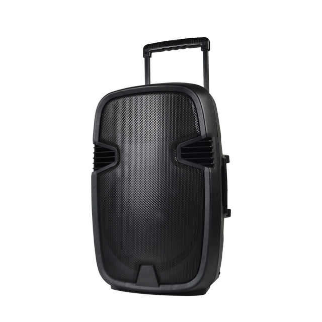 Wholesale Factory Direct Speaker System Trolley Product Sound Amplifier Speaker For All Markets