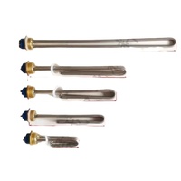 Tube chauffant fileté 1 pouce DN25 acier inoxydable tige chauffante électrique brasseur chauffe-eau bride tube chauffant