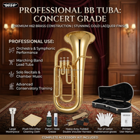 Factory Supply Brass Instrument All Kinds Brass Musical Instruments Bb Key Tuba for Sale