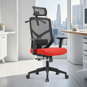 NOEL 高性价比人体工学网布办公椅，带 2D 腰部支撑，电脑椅，适用于办公家具 Sillas De Oficina - Product Image 1