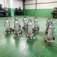 Pompe submersible en acier inoxydable pour eaux usées, accouplement fixe, haute efficacité, certifiée ISO9001 CE, pour fosses municipales et boues portables