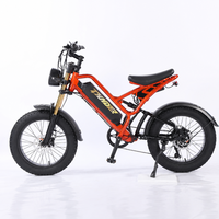 Vélo électrique tout-terrain puissant à gros pneus 20 pouces 4.0, double suspension, batterie lithium 48V 750W - Offre Spéciale