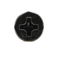 Vis à cloison sèche ZhiJia en acier inoxydable noir M2.5 x 4 mm, tête plate Torx ovale, anti-corrosion, pour meubles en bois, norme ISO métrique